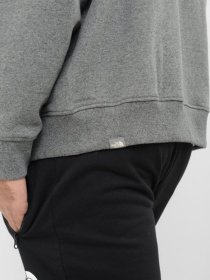 Спортивная одежда The North Face модель NF00CG46LXS1 Фото