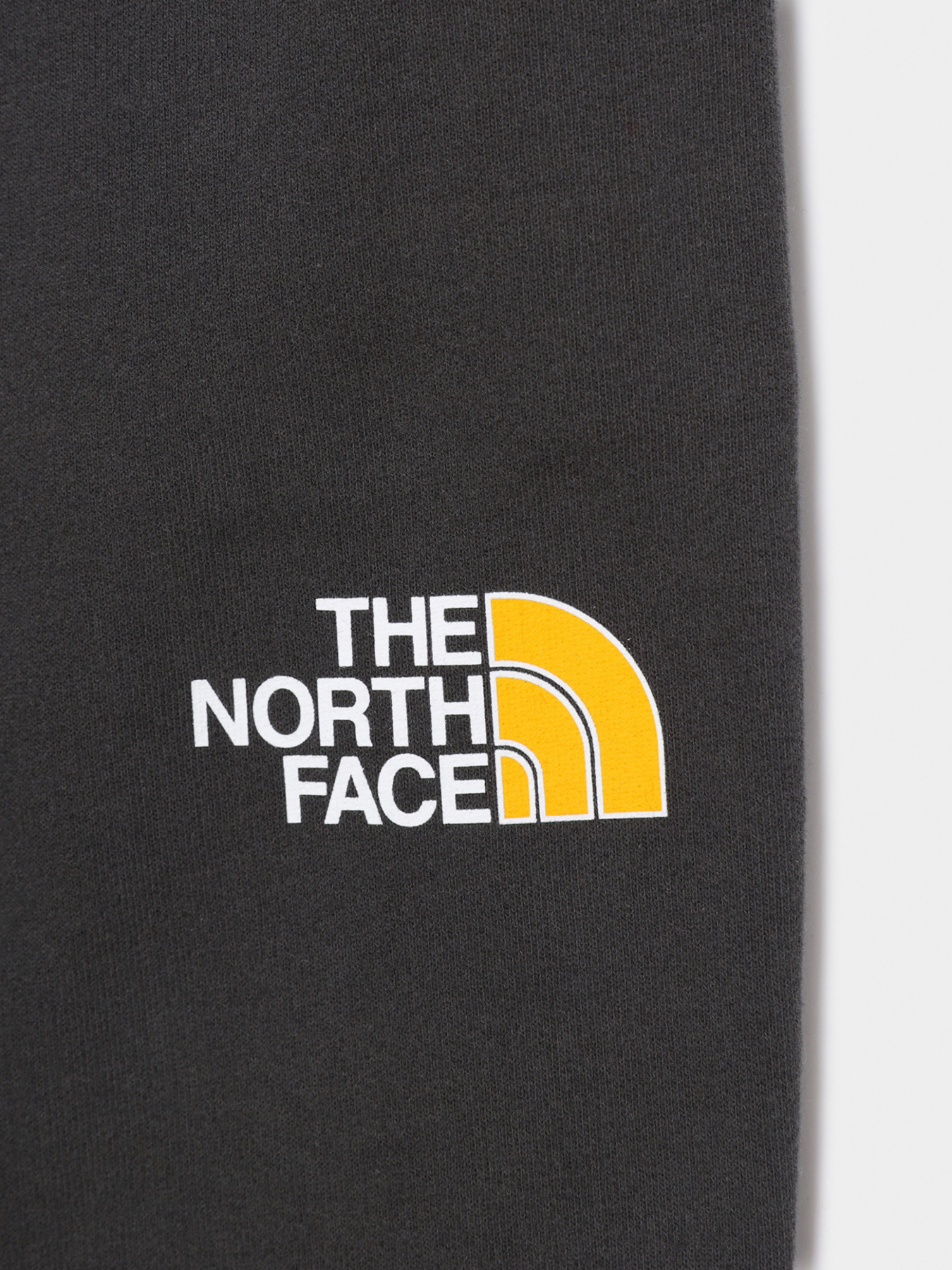 Брюки The North Face модель NF0A492WS951 Фото