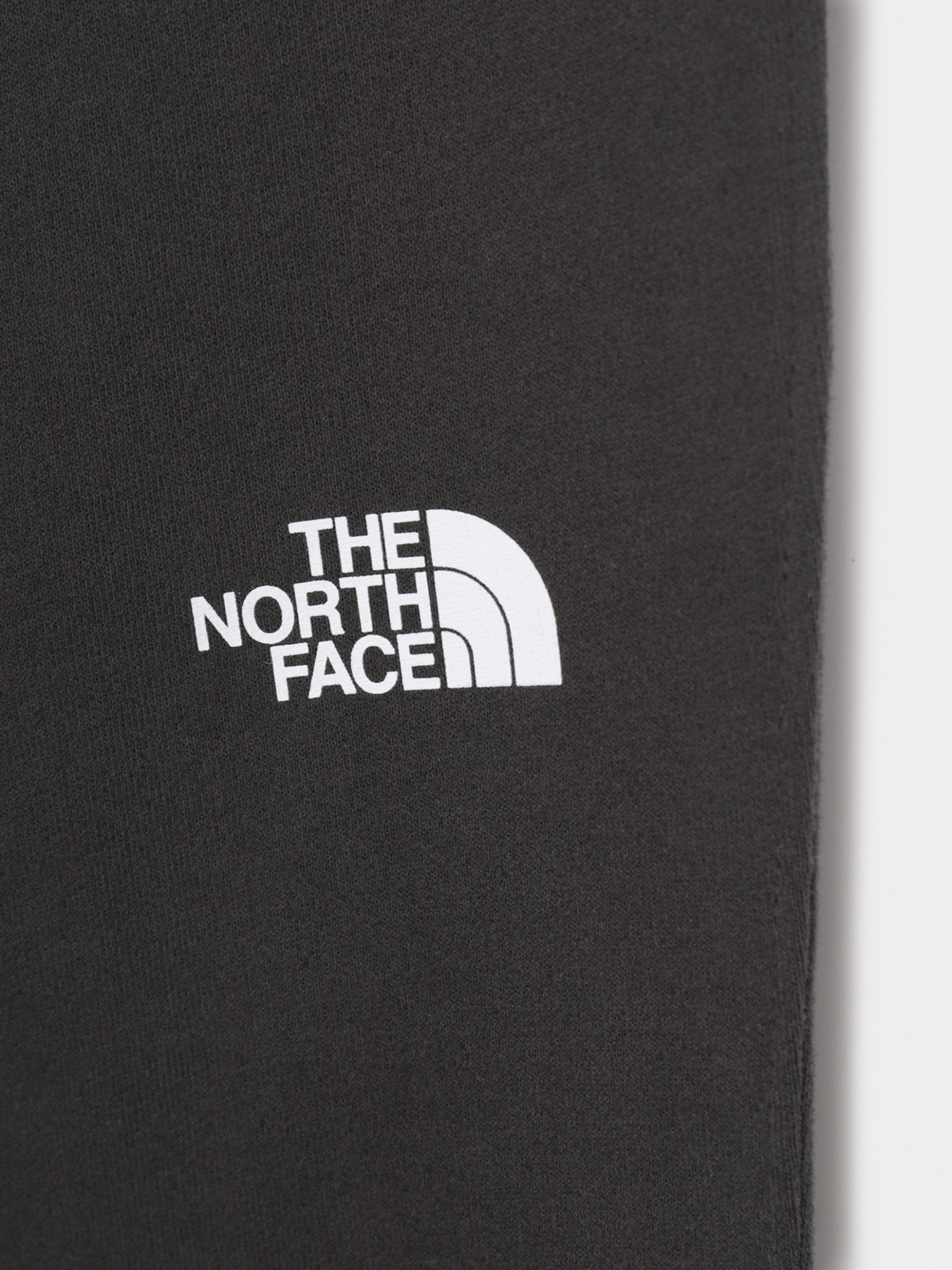 Брюки The North Face модель NF0A492WS951 Фото