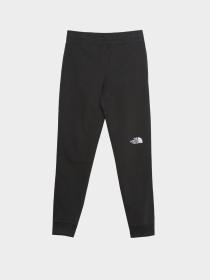 Брюки The North Face модель NF0A492WS951 Фото