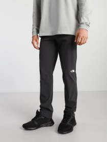 Брюки The North Face модель NF0A3VF79A11 Фото