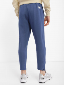 Брюки The North Face модель NF0A4M7LHDC1 Фото