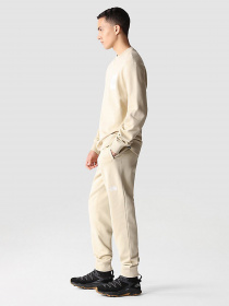 Брюки The North Face модель NF0A4SVQ3X41 Фото