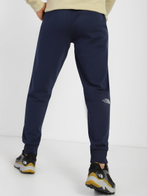 Брюки The North Face модель NF0A4SVQ8K21 Фото
