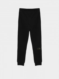 Брюки The North Face модель NF0A7X58JK31 Фото