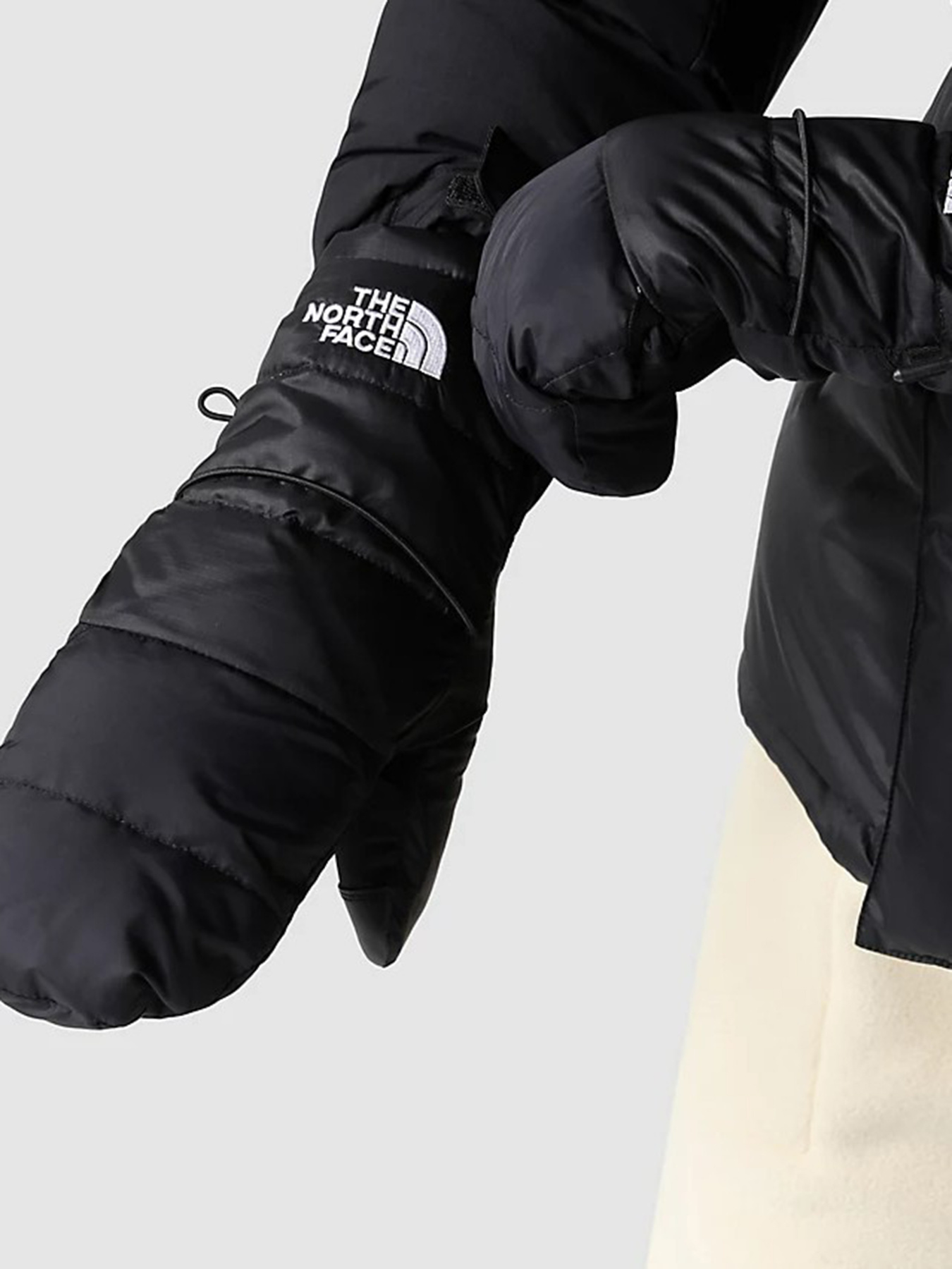 Перчатки и варежки The North Face модель NF0A55L6JK31 Фото