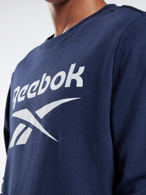 Худи и свитшоты Reebok модель GQ3539 Фото