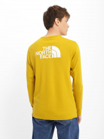 Худи и свитшоты The North Face модель NF0A2TX176S1 Фото