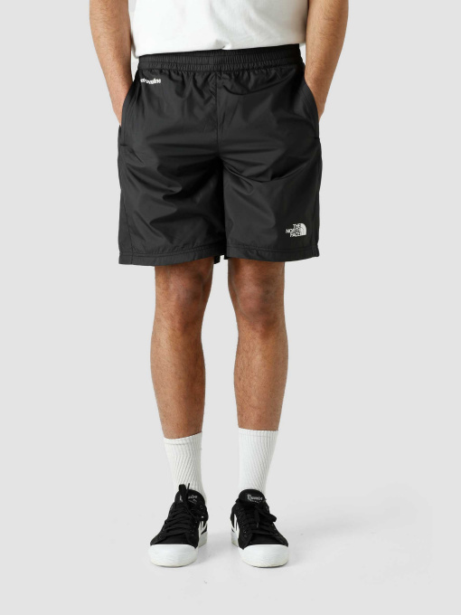 Шорты The North Face модель NF0A5J4JJK31 Фото