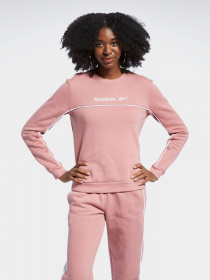 Худи и свитшоты Reebok модель GJ4916 Фото