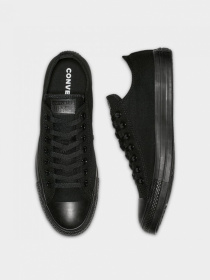Кеды CONVERSE модель M5039C Фото