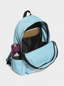 Рюкзаки Adidas модель HR9813 Фото