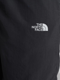 Шорты The North Face модель NF0A2S850C51 Фото