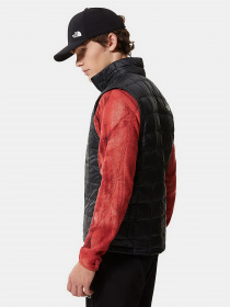 Куртки и дубленки The North Face модель NF0A5GLOJK31 Фото