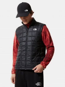 Куртки и дубленки The North Face модель NF0A5GLOJK31 Фото