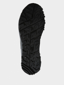 Кроссовки The North Face модель NF0A4PFGKZ21 Фото
