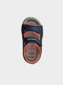 Сандалии Geox модель B251AB-01554-C0659 Фото