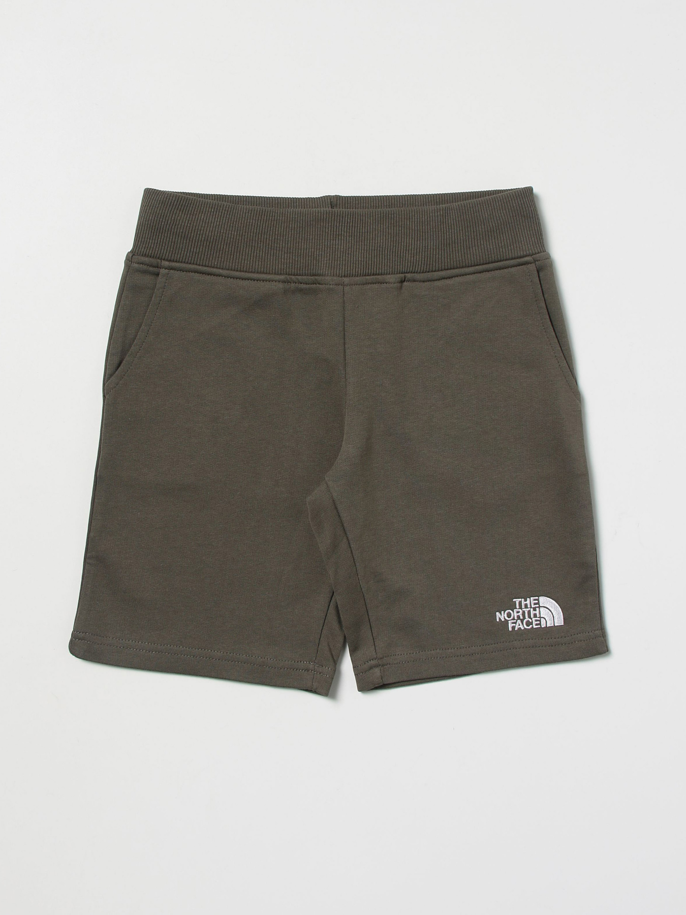 Шорты The North Face модель NF0A7R1I0C51 Фото