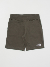 Шорты The North Face модель NF0A7R1I0C51 Фото