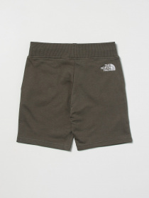 Шорты The North Face модель NF0A7R1I0C51 Фото