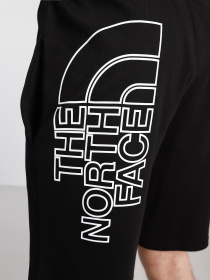 Шорты The North Face модель NF0A3S4FJK31 Фото