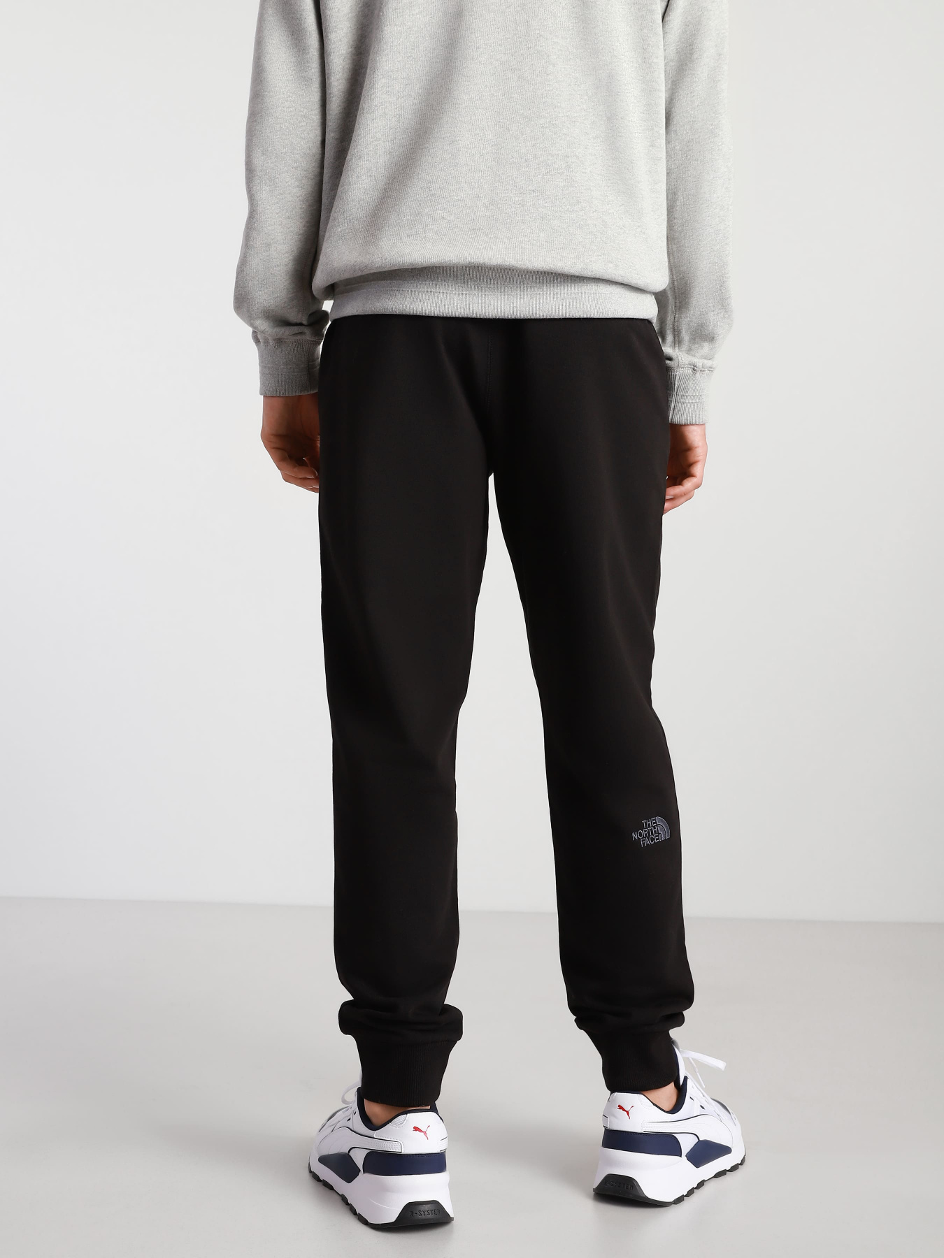 Брюки The North Face модель NF0A4T1FJK31 Фото