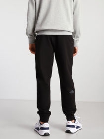 Брюки The North Face модель NF0A4T1FJK31 Фото