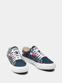 Кеды Tommy Hilfiger модель EM0EM00716-0GZ Фото