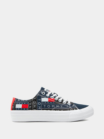 Кеды Tommy Hilfiger модель EM0EM00716-0GZ Фото