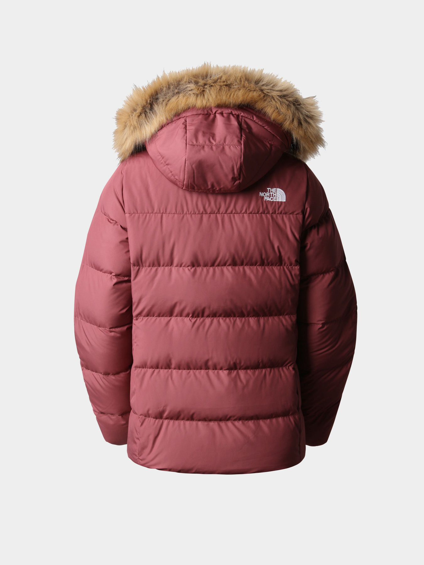 Куртки и дубленки The North Face модель NF0A4R336R41 Фото
