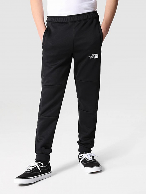 Брюки The North Face модель NF0A7X4EJK31 Фото