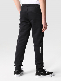Брюки The North Face модель NF0A7X4EJK31 Фото