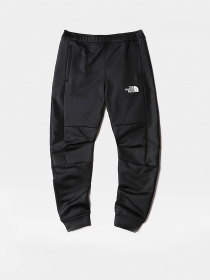 Брюки The North Face модель NF0A7X4EJK31 Фото