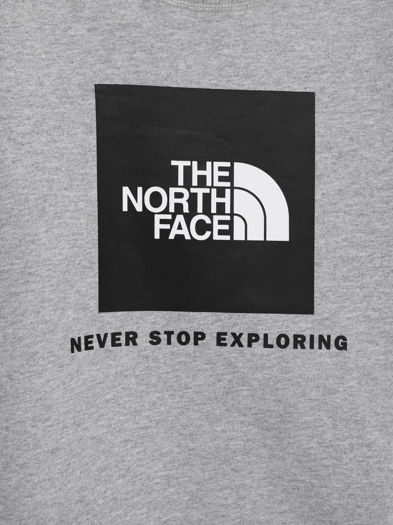 Худи и свитшоты The North Face модель NF0A7X59DYX1 Фото