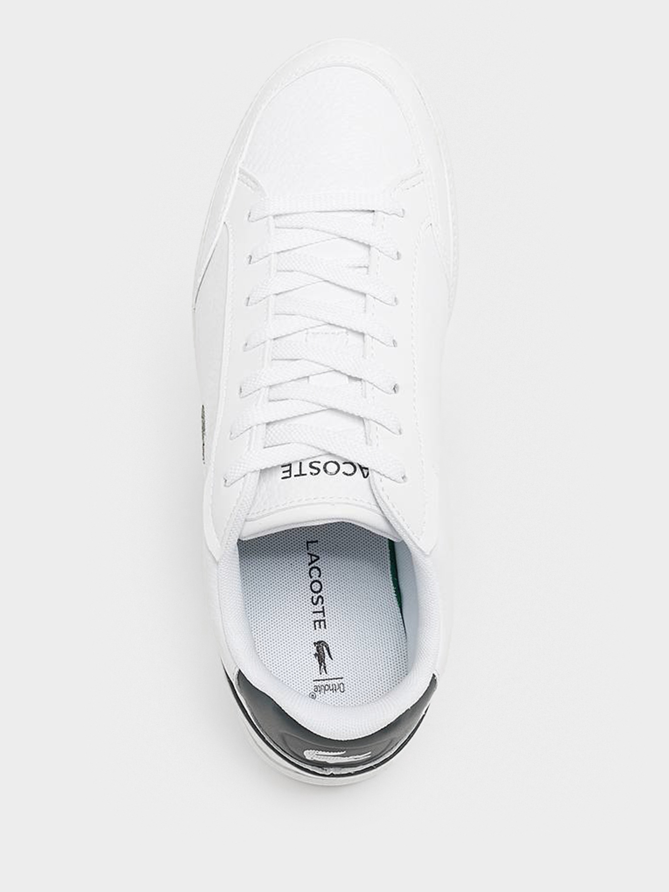 Кеды Lacoste модель 740SFA00151R5 Фото