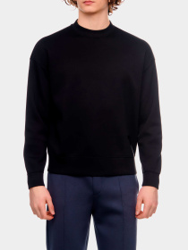 Худи и свитшоты Emporio Armani модель 3R1MBH-1JRHZ-0999 Фото