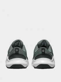 Кроссовки NIKE модель DM1120-002 Фото