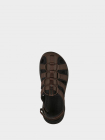Сандалии Skechers модель 204348 CHOC Фото
