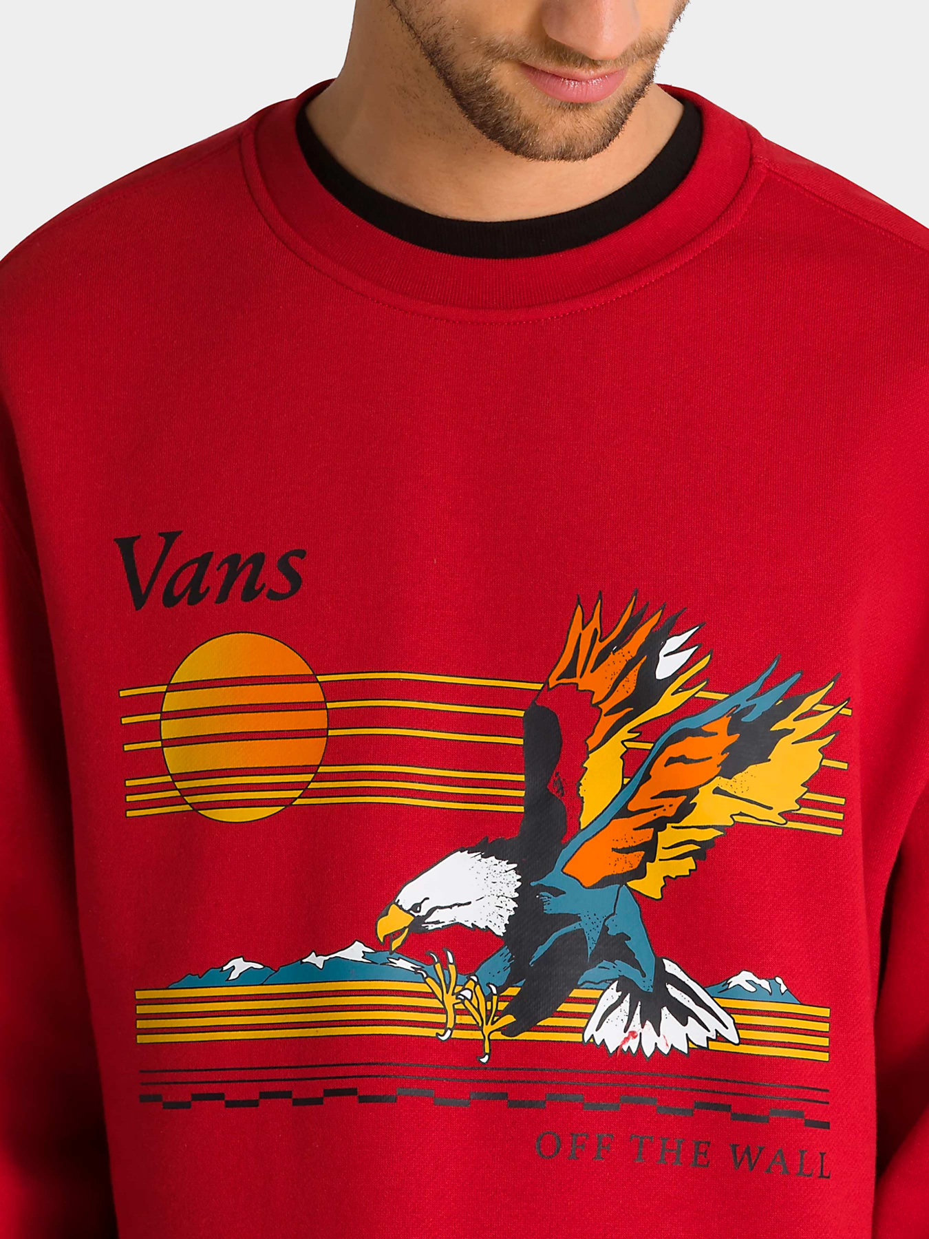 Худи и свитшоты Vans модель VN0008H614A1 Фото