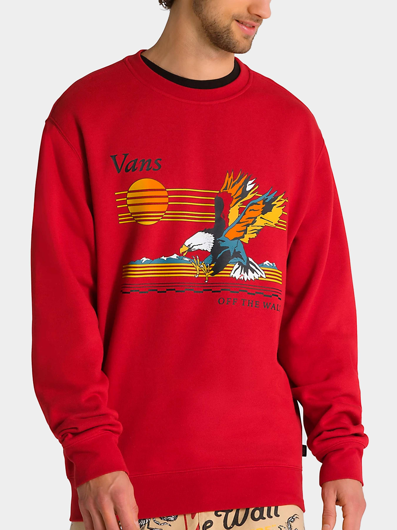 Худи и свитшоты Vans модель VN0008H614A1 Фото