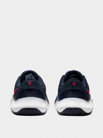 Кроссовки NIKE модель DM1120-401 Фото