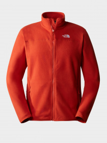 Худи и свитшоты The North Face модель NF0A5IHQLV41 Фото