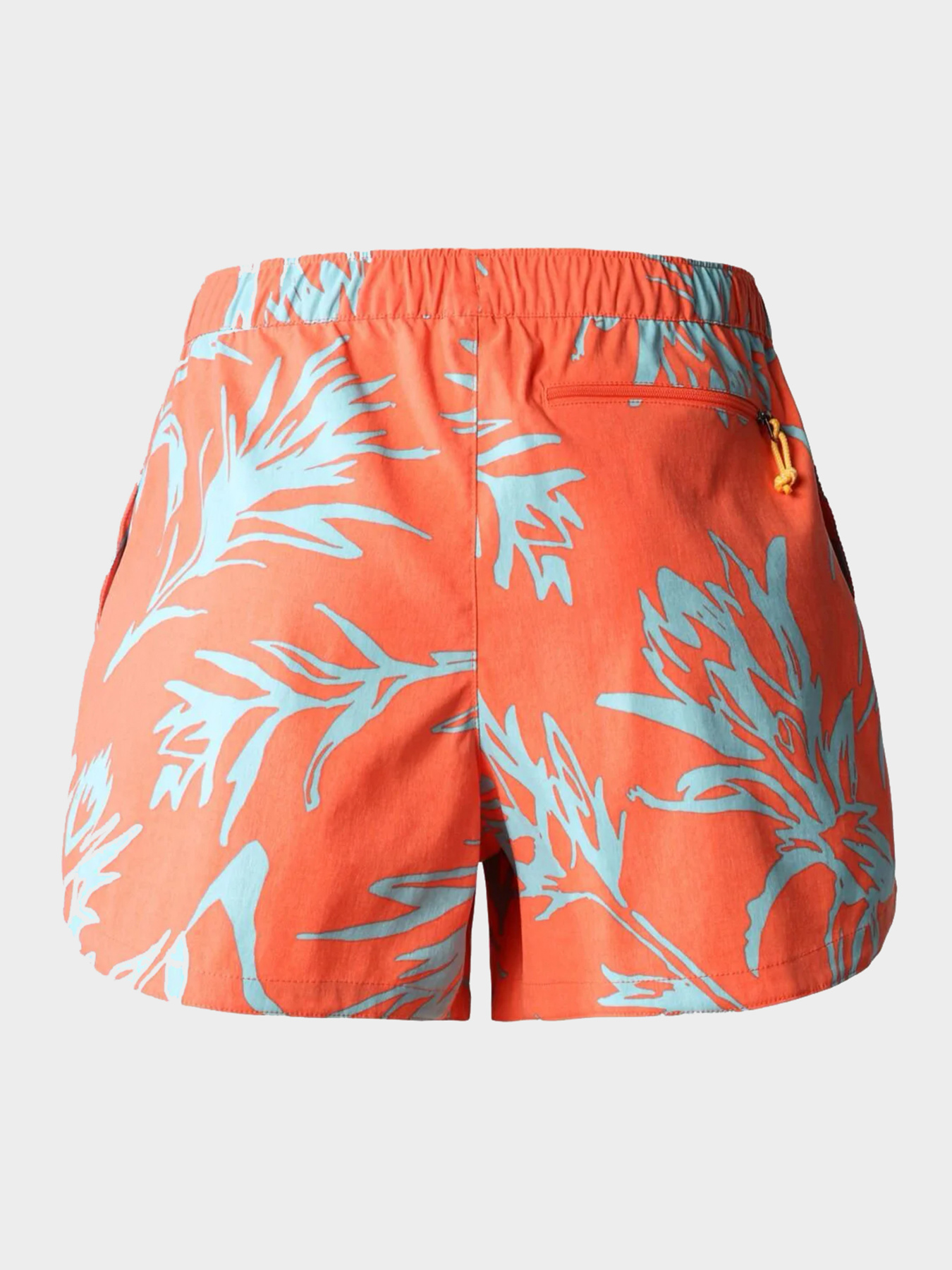 Шорты The North Face модель NF0A81VVIY81 Фото