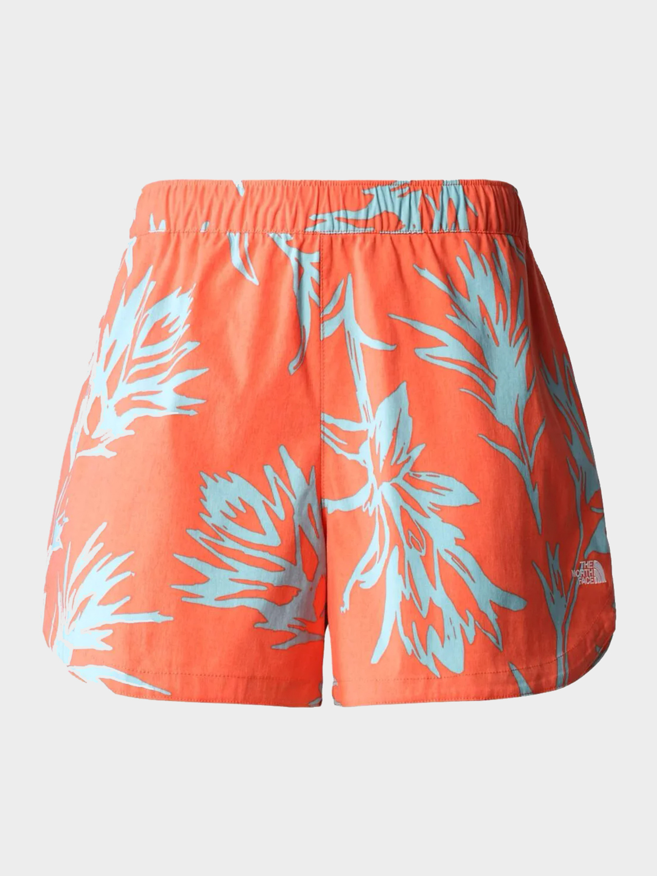 Шорты The North Face модель NF0A81VVIY81 Фото