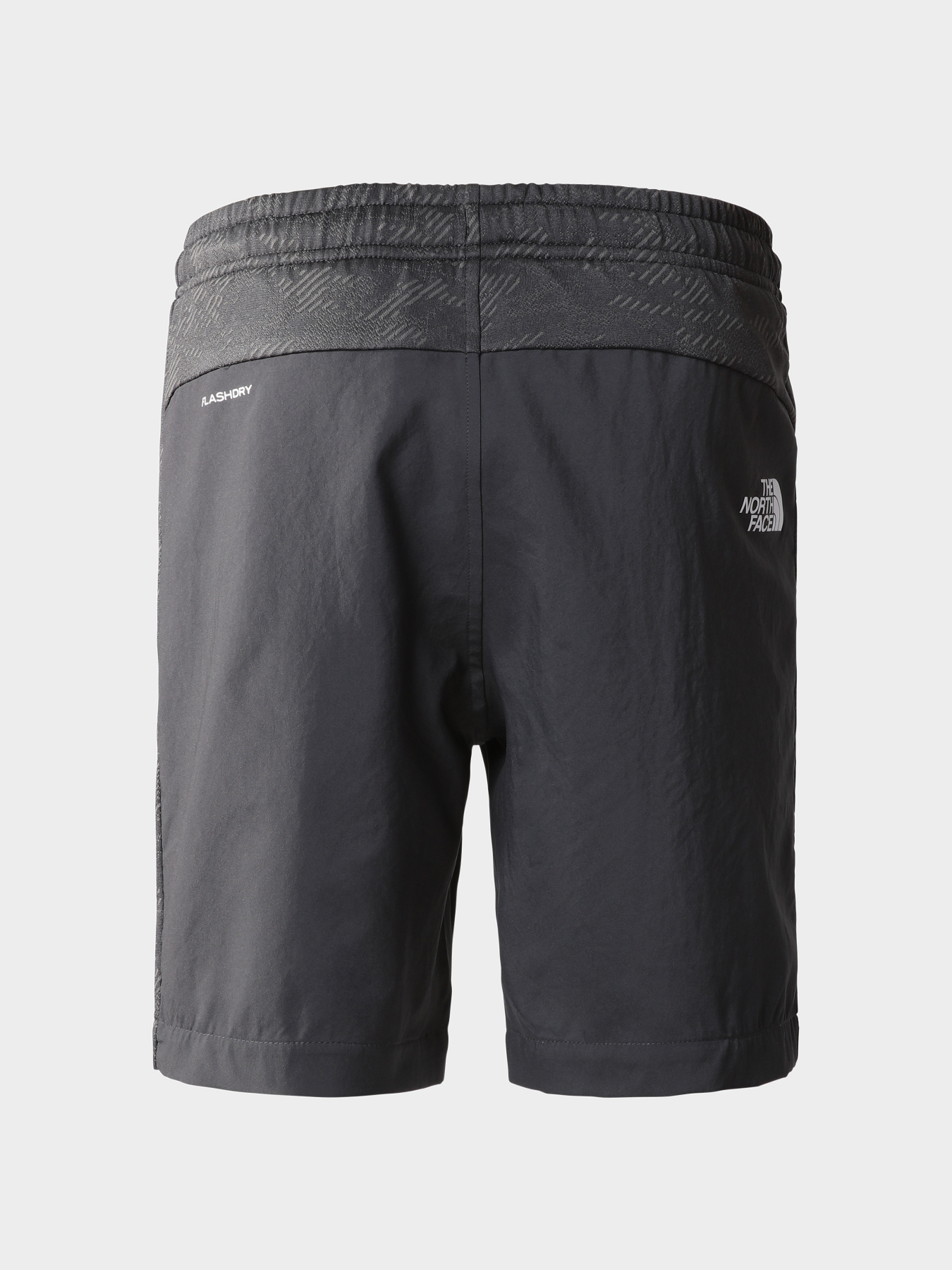 Шорты The North Face модель NF0A82E7I8H1 Фото