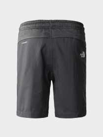 Шорты The North Face модель NF0A82E7I8H1 Фото