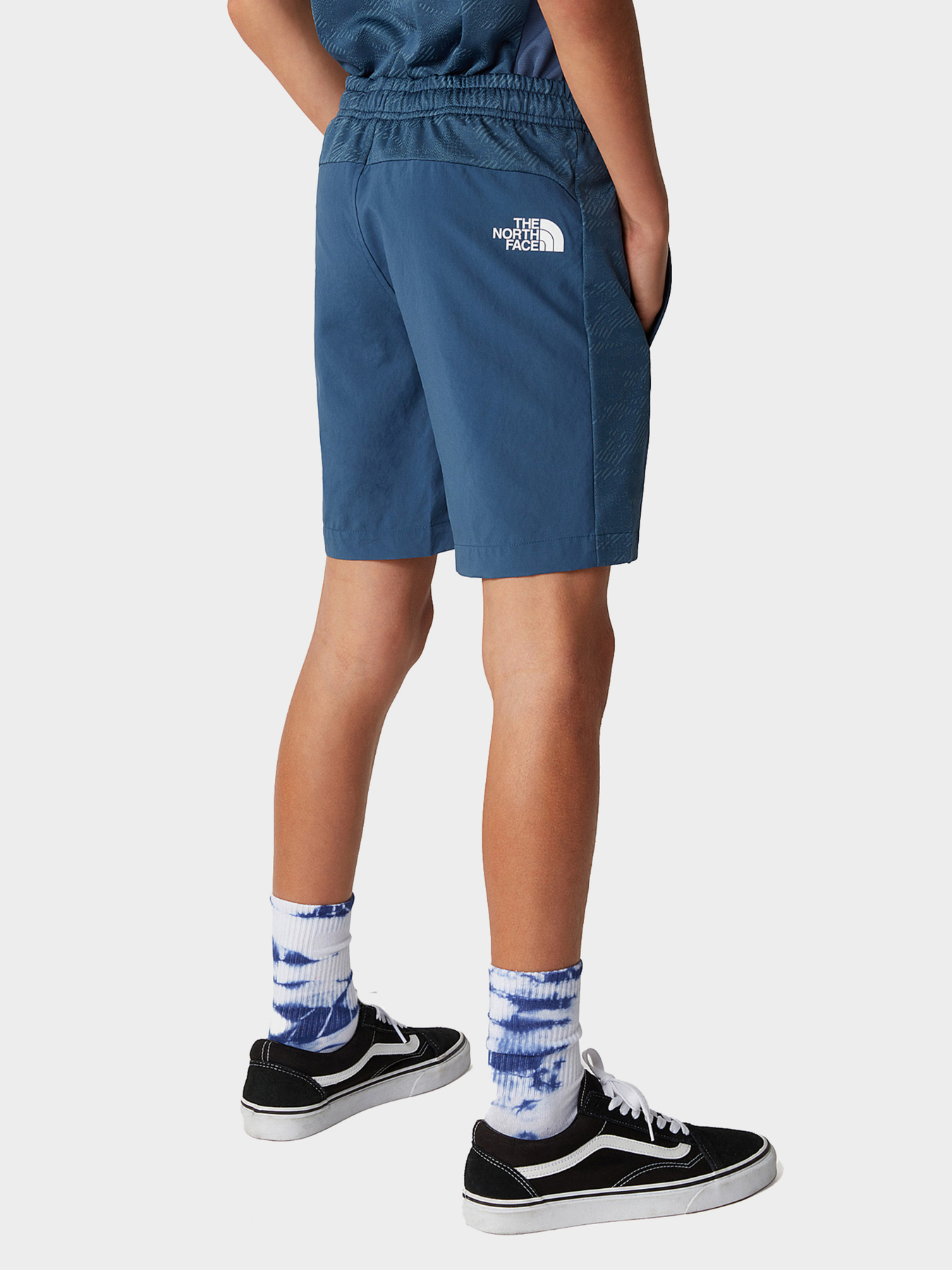 Шорты The North Face модель NF0A82E7I8I1 Фото