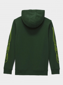 Худи и свитшоты Vans модель VN00087QBD61 Фото