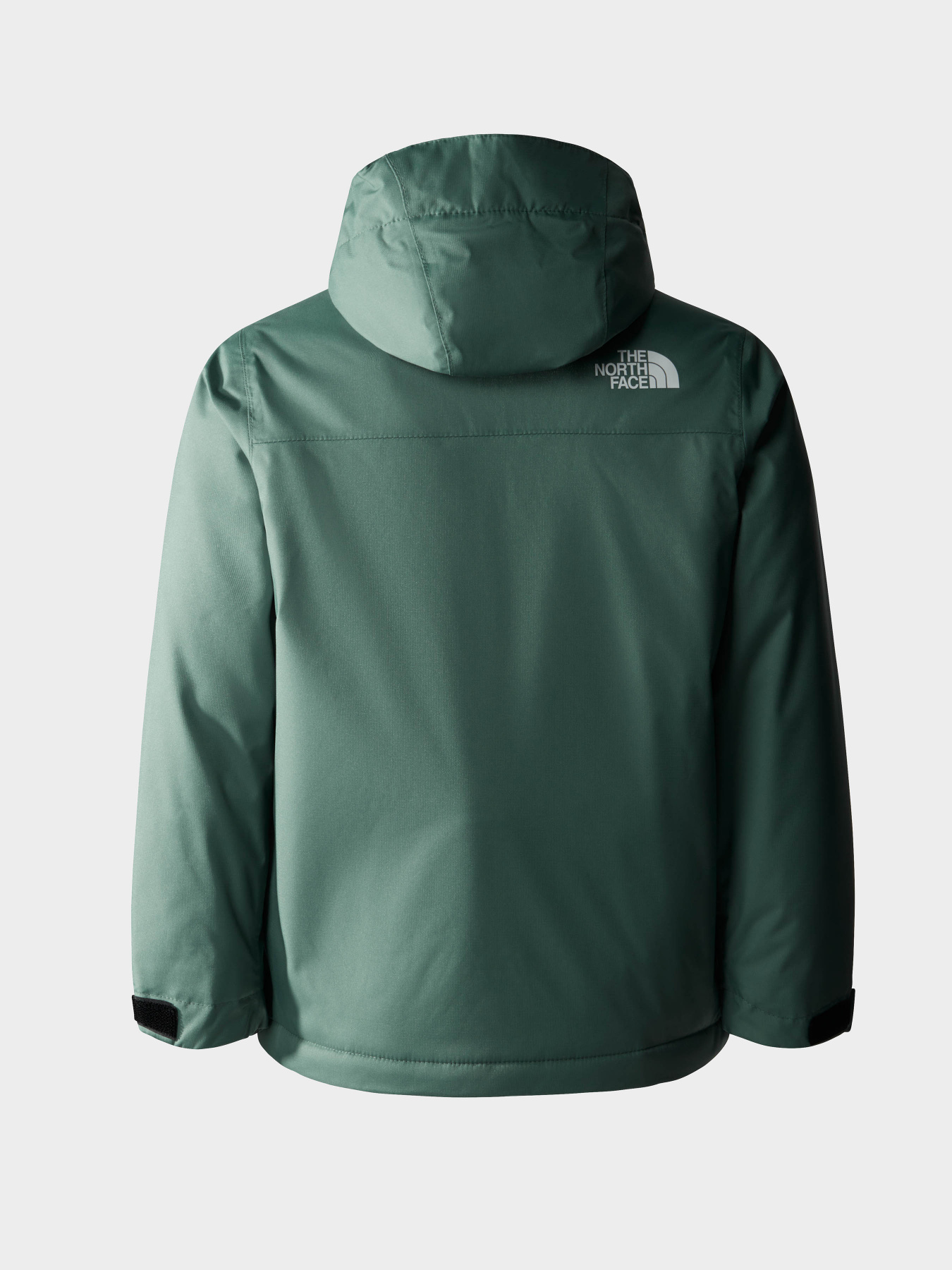 Куртки и дубленки The North Face модель NF0A8554I0F1 Фото