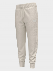 Брюки The North Face модель NF0A5GCBR8R1 Фото